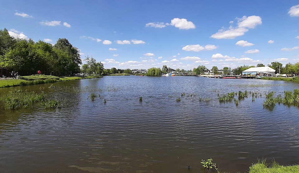 Woda i brzegi Stawów Walczewskiego